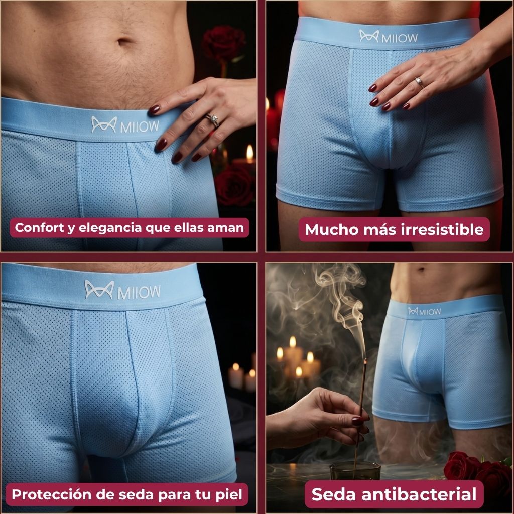 Bóxer Seda de Morera + Cartera de Regalo